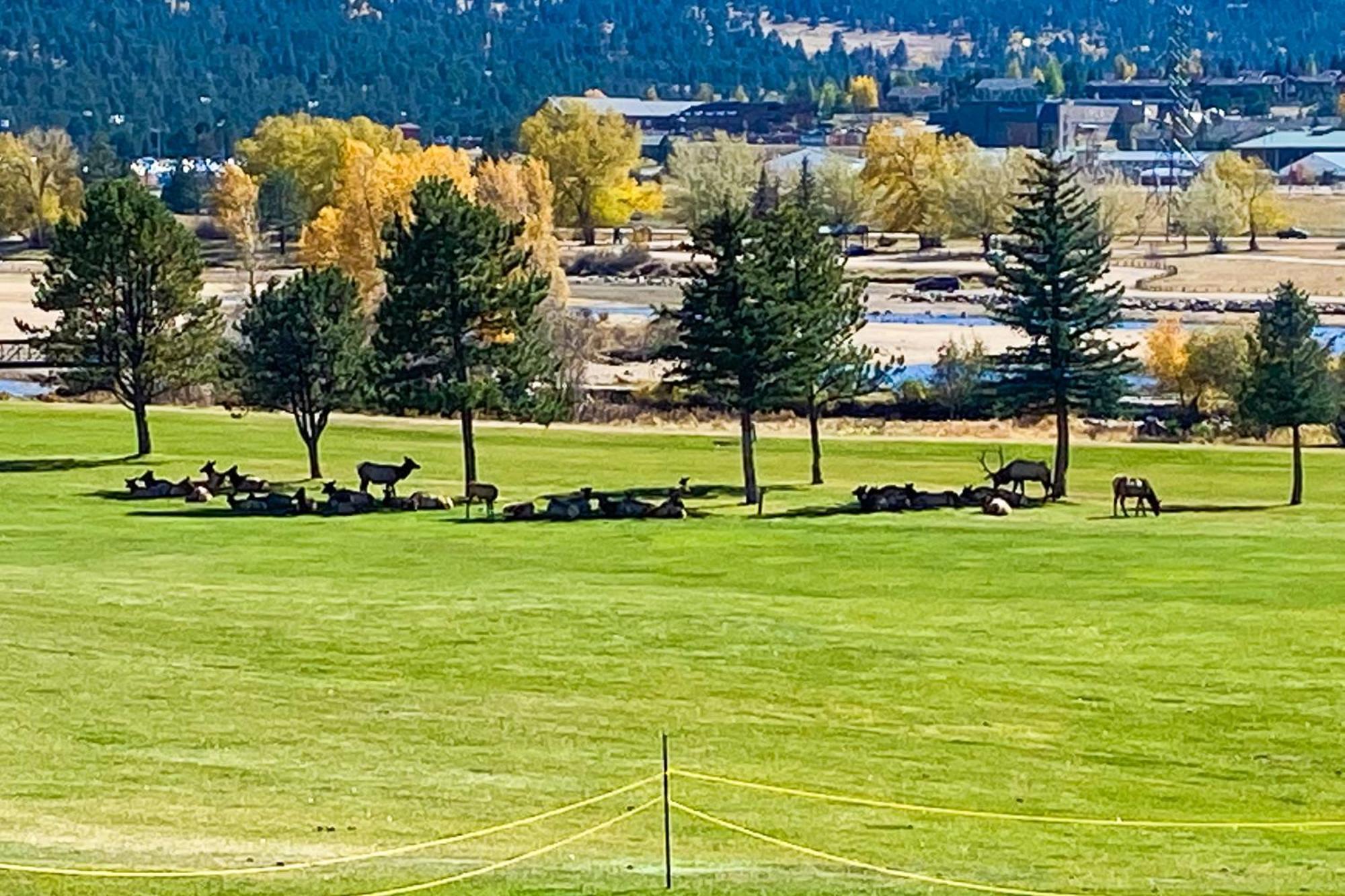 Fairways & 14Ers Villa Estes Park Eksteriør billede